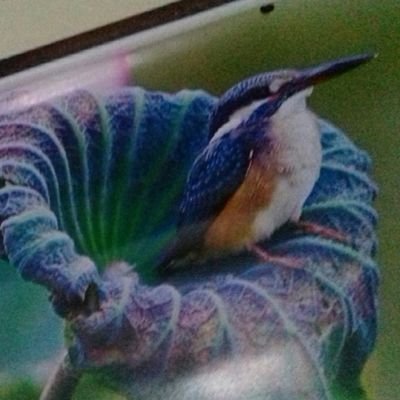 Profile Picture of Balbeer Singh Pandre (@BalbeersinghPa3) on Twitter