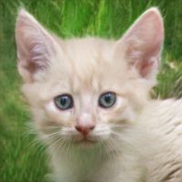 Profile Picture of johnripatha1987 (@johnripatha1987) on Tiktok