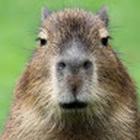 Profile Picture of Alec Watt (@alec-watt-9) on Quora