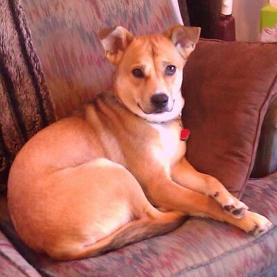 Profile Picture of Alex Pace (@TheronPace) on Twitter