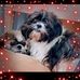 Profile Picture of Alice Rutledge (@alice.rutledge.777) on Facebook
