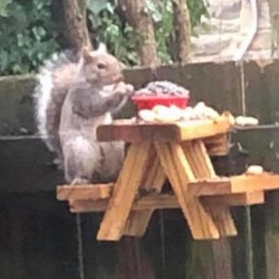 Profile Picture of Jim Jachimiak (@jachimiak_jim) on Twitter