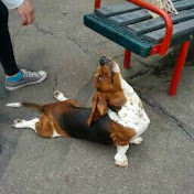 Profile Picture of Johan Cano (@jcanodesign) on Youtube