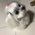 Profile Picture of chain reaction (@myung_seong_kim) on Instagram