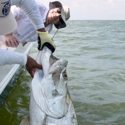 Profile Picture of Stephen Bronstein (@StephenBronste2) on Twitter