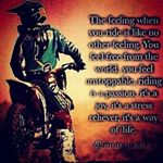 Profile Picture of Ian Gibbs (@iangibbs1) on Instagram