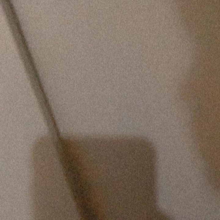 Profile Picture of リス (@irismaw) on Tiktok