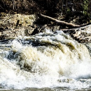 Profile Picture of Thomas Urbanak (@bizzlefluff) on Myspace