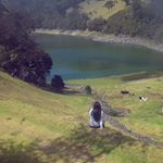 Shelly Ramirez - Instagram Profile Picture of Shelly Ramirez (@chef_shelly_ramirezribk) on Instagram