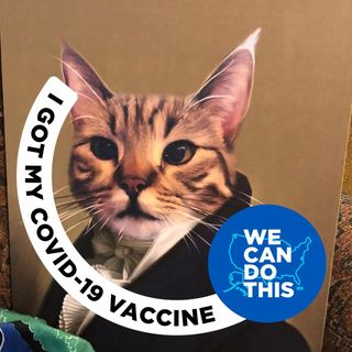 Profile Picture of Wendy Rebecca Marcotte (@rebeccamarcotte) on Instagram