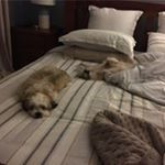 Profile Picture of Karen Barry Bartlett (@karenbarrybartlett) on Instagram