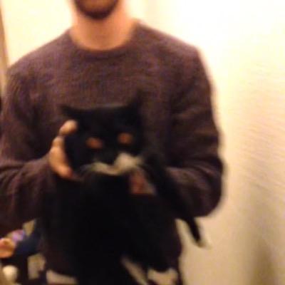 Profile Picture of Dan Harkin (@_DanHarkin) on Twitter