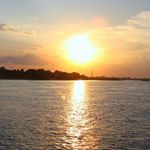 Profile Picture of yolanda davis (@yolanda4467ob) on Instagram