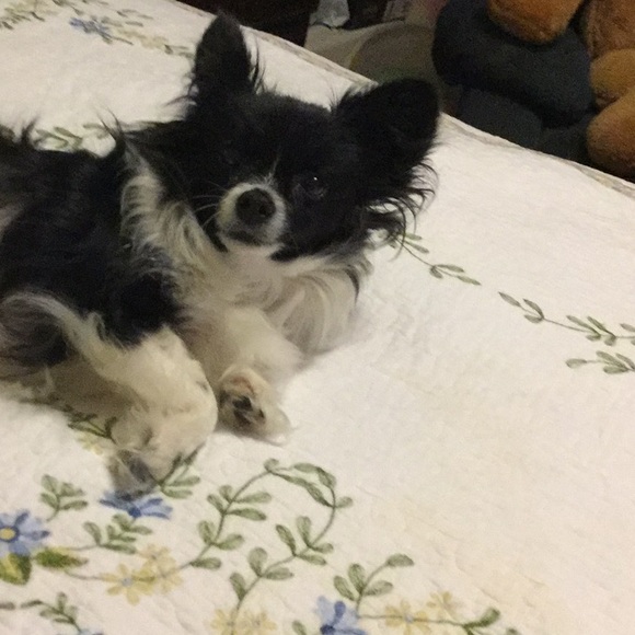 Profile Picture of Lillie m Delk (@marie70022) on Poshmark