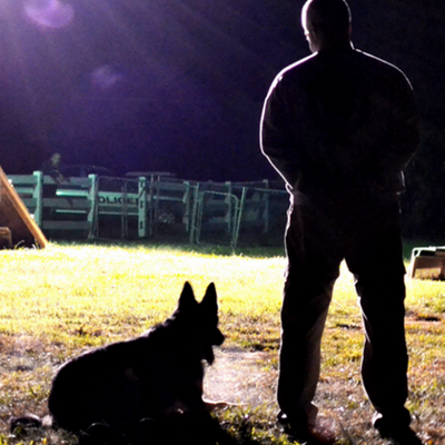 Profile Picture of Mike Seguin (@K9__Handler) on Twitter