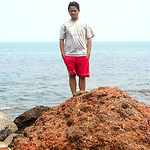 Profile Picture of Endar Pradesa (@endarpradesa) on Flickr