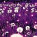Profile Picture of Julia Driggs (@julialynndriggs) on Pinterest