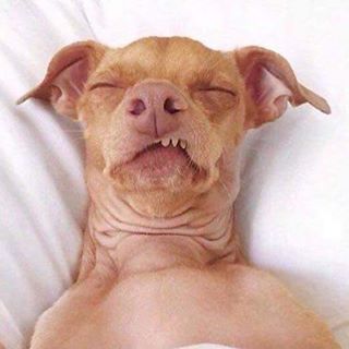 Profile Picture of Joseph Elger (@joseph.elger.33) on Facebook