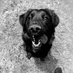 Profile Picture of Julia Kellner (@_thisis_alice_) on Instagram