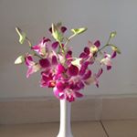 Profile Picture of Alvin Parker (@alvin.pwww) on Instagram