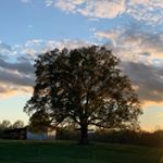 Profile Picture of Craig Bradley (@jcraigb316) on Instagram