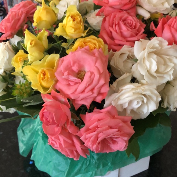 Profile Picture of Susan Dibella (@sd2017500) on Poshmark