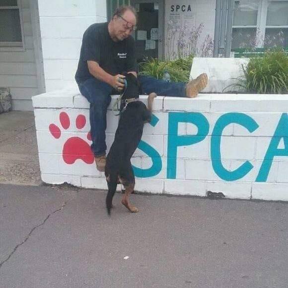 Profile Picture of Dave Sansky (@sanskydavid) on Poshmark