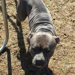 Profile Picture of William (@william_laffoon11) on Instagram