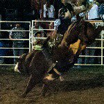 Profile Picture of John Jazwinski (@powerstroke_ford_crew) on Instagram