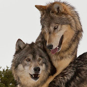 Profile Picture of B Ramirez (@BRamirez-dj5ue) on Youtube