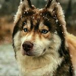 Profile Picture of Kevin Montiel Roque (@montiel_roque) on Instagram