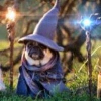 Profile Picture of Julia Searle (@julia-searle-10) on Quora