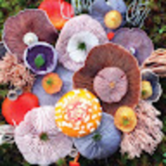 Profile Picture of Keith Samuels (@kei132) on Poshmark