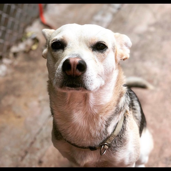 Profile Picture of Jonathan Amaro (@ajlegend) on Poshmark