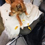 Profile Picture of René Manríquez Rene (@René-Manríquez-Rene) on Facebook