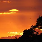 Profile Picture of Kylea Coston (@kyleacostonphotography) on Instagram