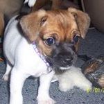 Profile Picture of keith riecke (@terryedwards165) on Pinterest