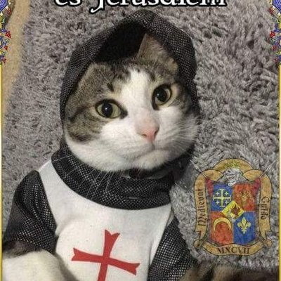 Profile Picture of Hemanoteu (@josejoubert3) on Twitter