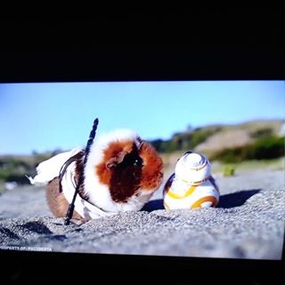 Profile Picture of David Riso (@david.riso.31) on Facebook