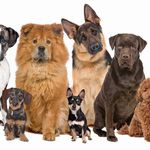 Profile Picture of KEITH BOWEN (@keithbowen5) on Instagram