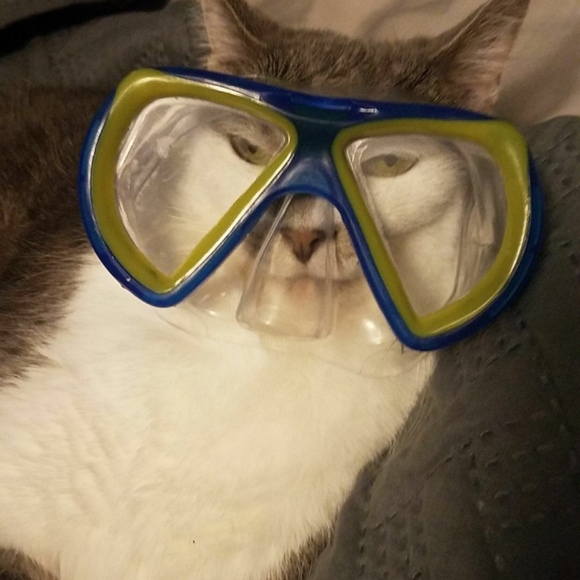 Profile Picture of Brianna Brinkman (@briannabrinkman) on Poshmark