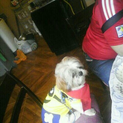 Profile Picture of Carol Romero (@Carolromero2004) on Twitter