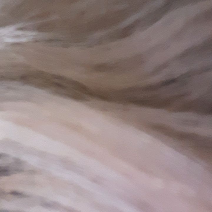 Profile Picture of Jonathan Jennings (@@jonathanjennings25) on Tiktok