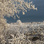 Profile Picture of Trevor Bradshaw (@What's Next Pics) on Flickr