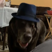 Profile Picture of Jose Mella (@josemella3278) on Youtube