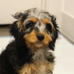 Profile Picture of Gordon Love (@sirgordonlove) on Instagram