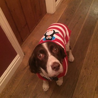 Profile Picture of Louise Markham-Moore (@lmmtweets) on Twitter