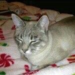 Profile Picture of Aster Berhane (@berhaneab642003) on Instagram