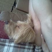 Profile Picture of Megan Mccomber (@megan.mccomber.9) on Myspace