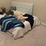 Nataly Delcid - Instagram Profile Picture of Nataly Delcid (@steveocccean) on Instagram